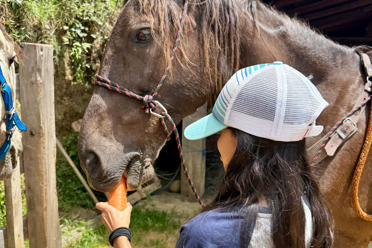 2-hour horseback riding + Private transportation + Photos & videos + Gift for the first 5 to book 2-hour horseback ride + private transportation + photos & videos + gift for the first 5 to book.