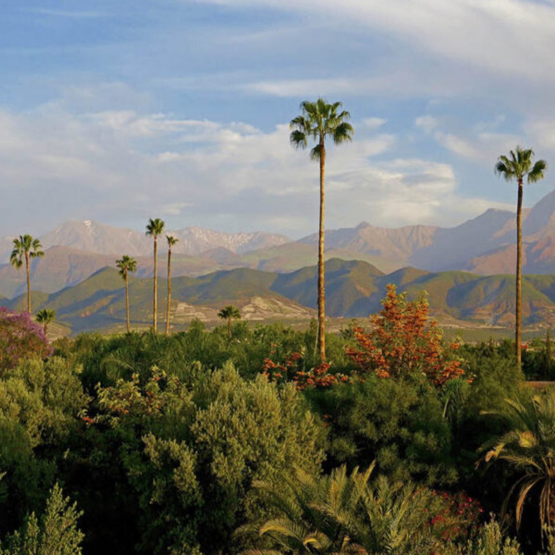 Jardin d'Anima et randonnée dans l'Atlas - trekking