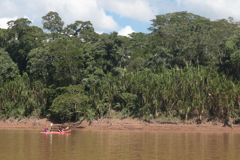 Puerto Maldonado: Kayaking and swimming in the Tambopata River