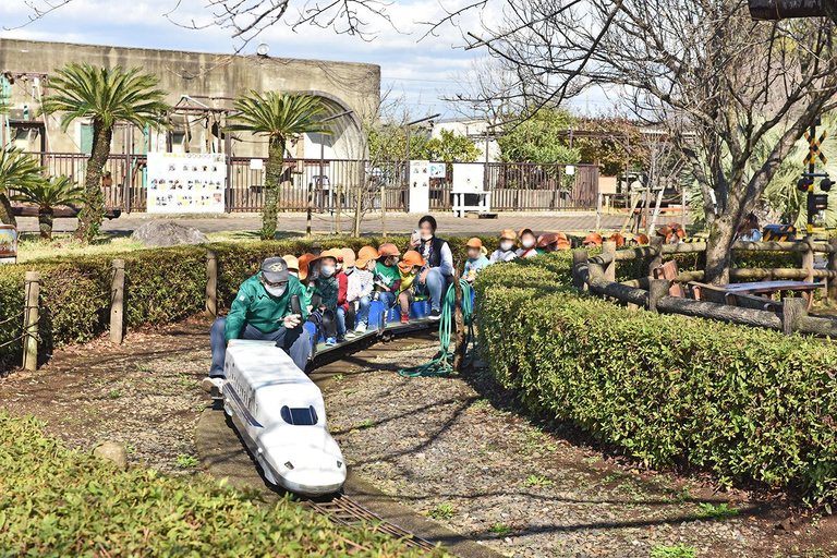 Private Chiba Day Tour: Red Panda Punch, Temple & Bay Tower