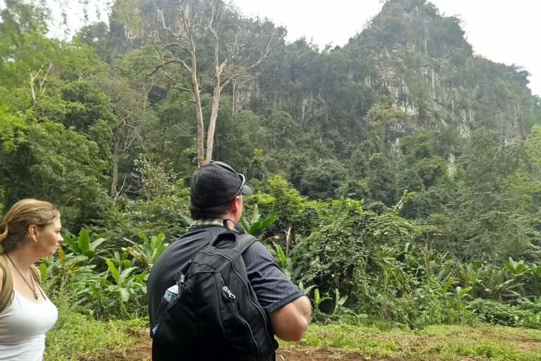 Chiang Mai: Full Day 5 Hill Tribes Tour Transport by Van