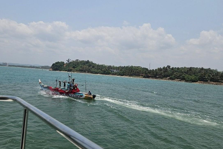 Mirissa: Whale & Dolphin Watching Boat Tour with Pickup Include Government Tax Fee