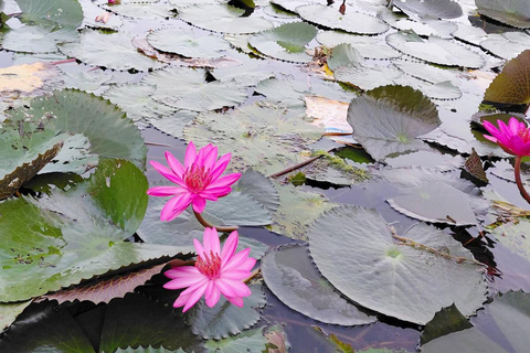 Excursion au point de vue de Malarikkal au départ de Cochin - Le joyau caché du KeralaVisite du point de vue de Malarikkal depuis Cochin, le joyau caché du Kerala