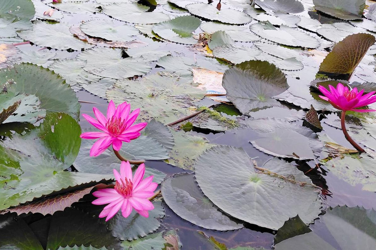 Excursion au point de vue de Malarikkal au départ de Cochin - Le joyau caché du KeralaVisite du point de vue de Malarikkal depuis Cochin, le joyau caché du Kerala