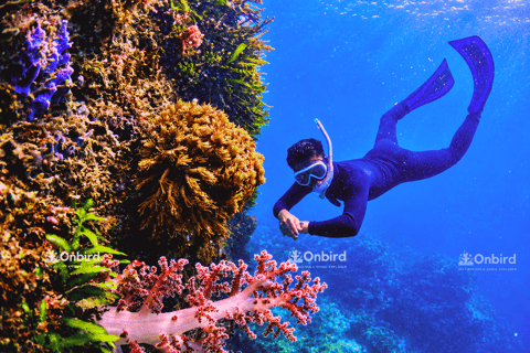 South Phu Quoc: Pro Snorkeling Tour by Speedboat - Max 10 Pax - Image 2