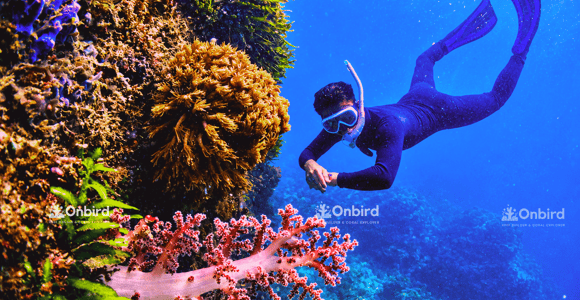 South Phu Quoc: Pro Snorkeling Tour by Speedboat - Max 10 Pax