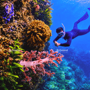 South Phu Quoc: Pro Snorkeling Tour by Speedboat - Max 10 Pax South Phu Quoc: Pro Snorkeling Tour by Speedboat - Max 10 Pax