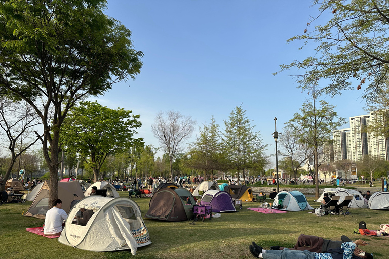 Seoul: Han River Sunset Picnic with Food and Night Walk