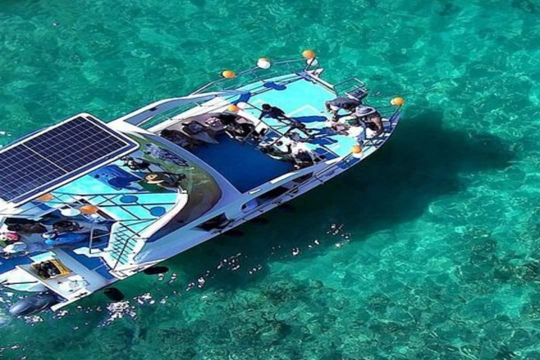 Punta Cana: Whale Watching, Cayo Levantado & Waterfall