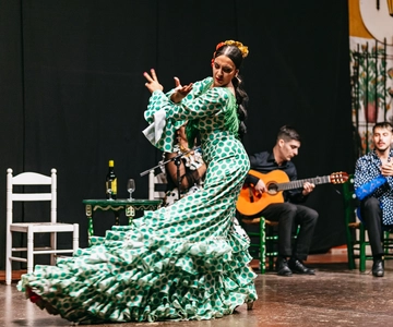 Torremolinos: Flamenco Show with Dinner and Drinks
