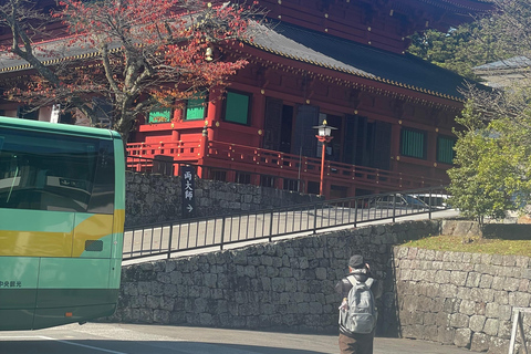 From Tokyo: Nikko Private Day Trip with Pickup & Drop-off