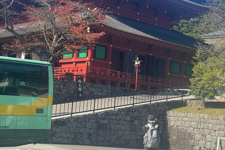 From Tokyo: Nikko Private Day Trip with Pickup & Drop-off
