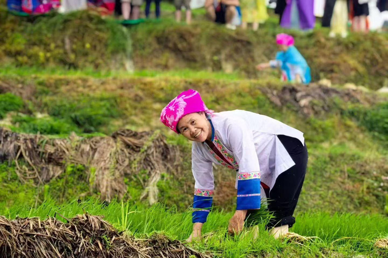 Small group: Longji Terraces & Long Hair Village Day Tours