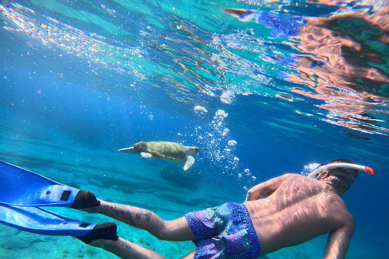 Paphos: snorkeltour met gids naar zeeschildpaddenPaphos: snorkelen met zeeschildpadden met gids