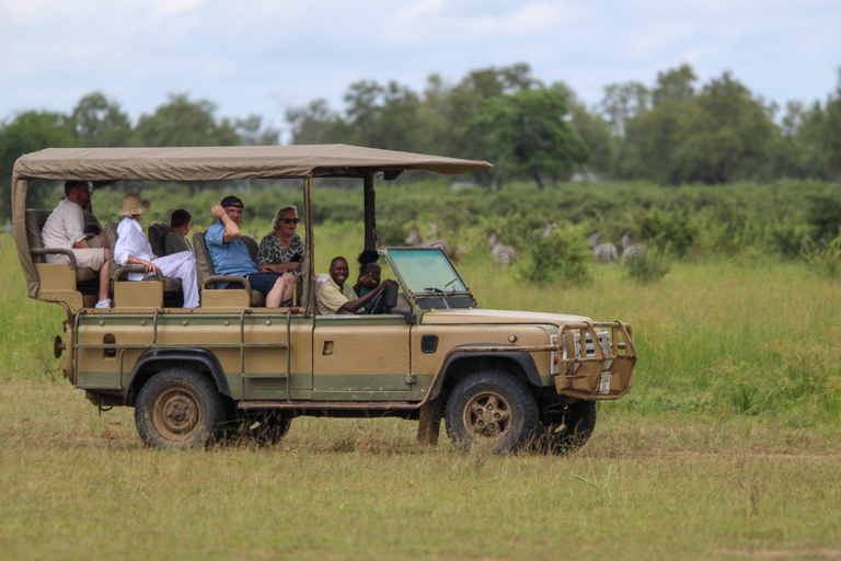 2 dagar 1 natt Selous Fly-in Safari från Zanzibar2 dagar och 1 natt Selous Fly-in Safari från Zanzibar