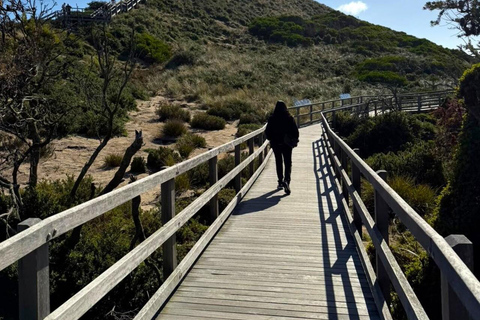 Bruny Island Discovery Day Tour