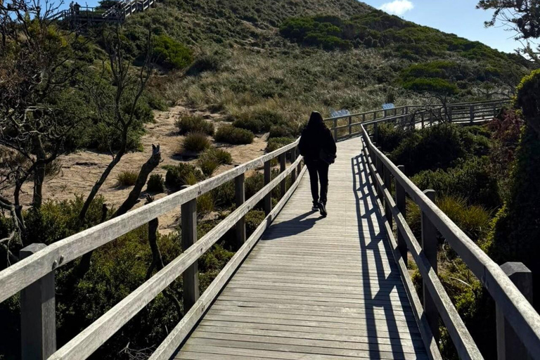 Bruny Island Discovery Day Tour