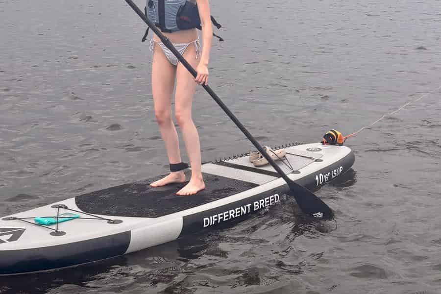 Ottawa: Paddleboard-Verleih in Shirley's Bay. Foto: GetYourGuide Ottawa: Paddleboard-Verleih in Shirley's Bay. Foto: GetYourGuide