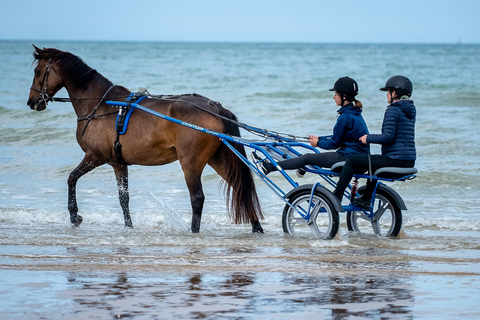 Omaha Beach: Sulky baptism on the beach