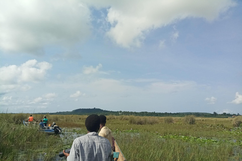 From Kampala: Mabamba Swamp Birding Half-Day Tour From Kampala: Mabamba Swamp Birding Day Tour