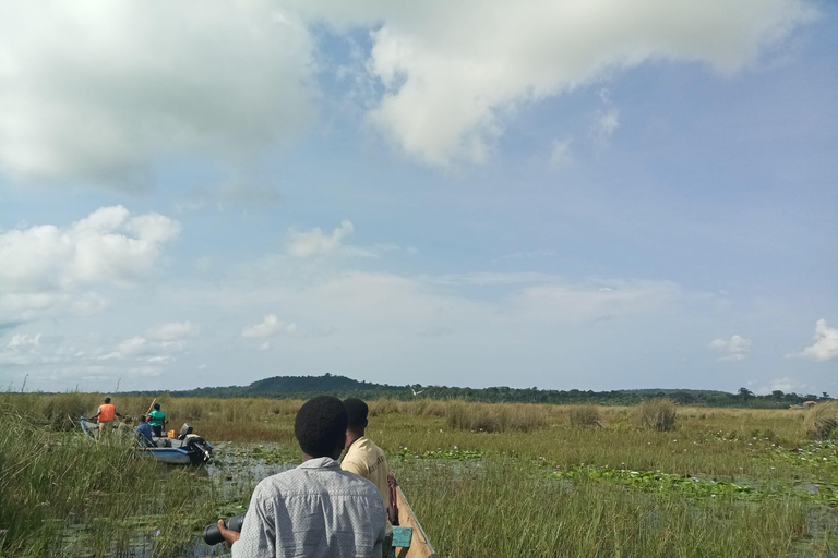 From Kampala: Mabamba Swamp Birding Half-Day Tour From Kampala: Mabamba Swamp Birding Day Tour