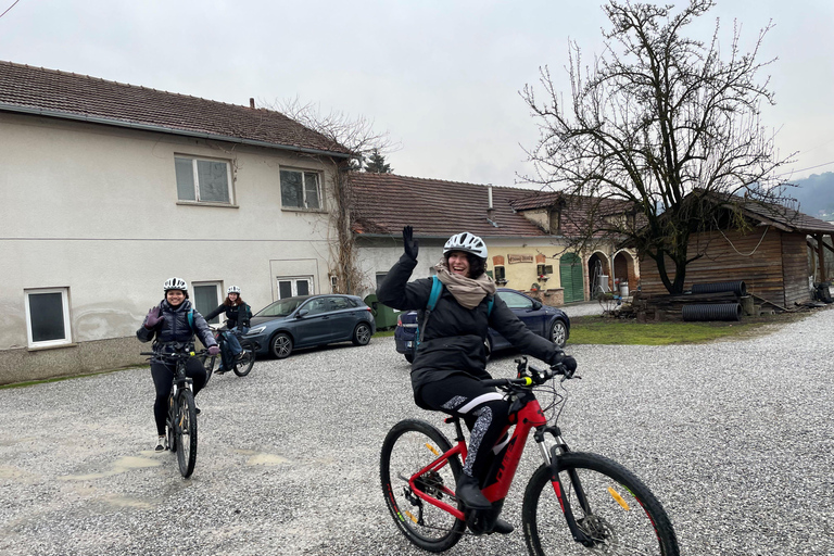 Marija Bistrica: E-bikes to the Wineries of Zlatar City