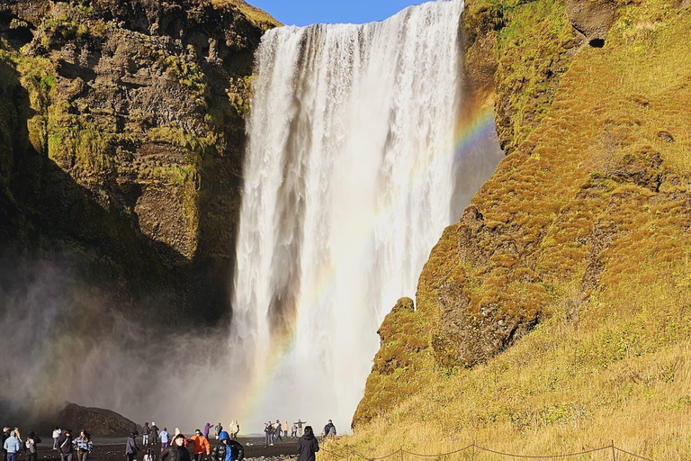 Private Tagestour an der Südküste mit GletscherwanderungPrivate Tagestour an die Südküste mit Gletscherwanderung