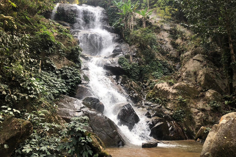 Chiang Rai: Trekking, Bamboo Cooking, and Hot Springs Tour