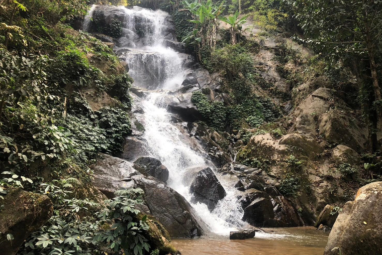 Chiang Rai: Trekking, Bamboo Cooking, and Hot Springs Tour