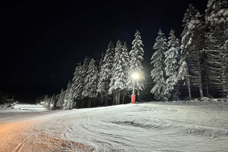 Vitosha: Ski Day Trip by Mountain Stars Ski School