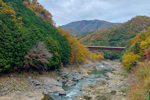 3 dias de tour particular guiado em inglês por OSAKA, KYOTO e NARA,