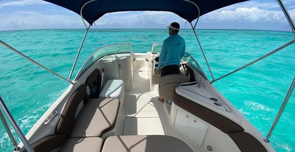 Cozumel: Snorkeling Tour at El Cielo Beach