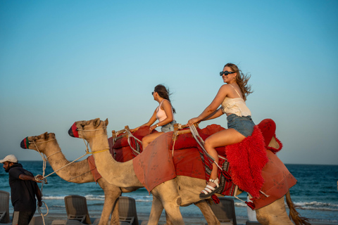 Doha: Full Day Doha City and Desert Safari Tour