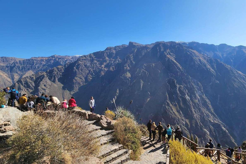 Excursie naar de Colca Canyon met ontbijt en lunch