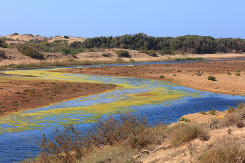 Van Agadir: Sous Massa National Park Woestijnsafari met lunch