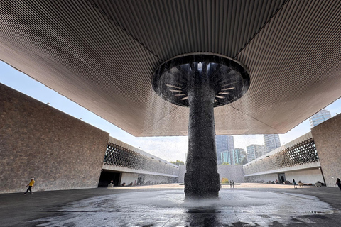 Mexico City: National Anthropology & Modern Art Museum Tour