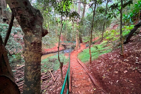 Nairobi: Karura Forest Storytelling & Mau Mau Heritage Walk