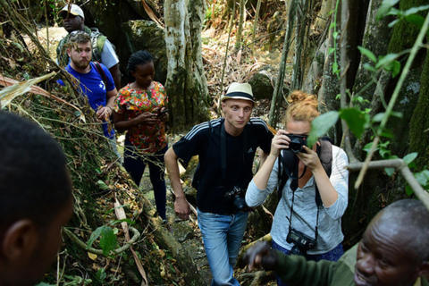 Natural Walking tour In Buhanga Eco Park