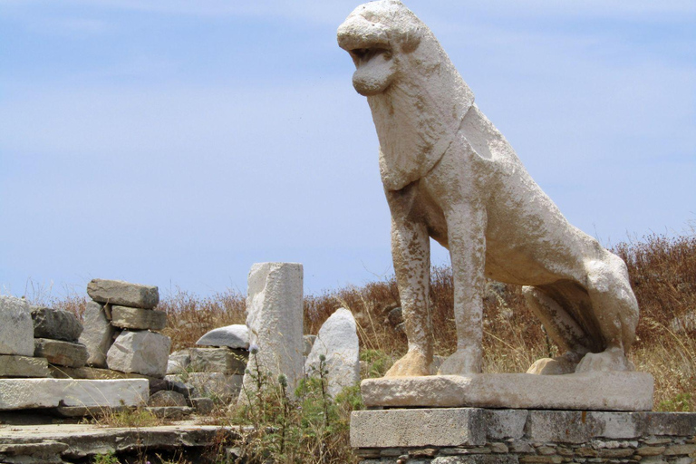 Delos: Única visita guiada de áudio ao sítio arqueológicoDelos: Somente tour guiado por áudio pelo sítio arqueológico