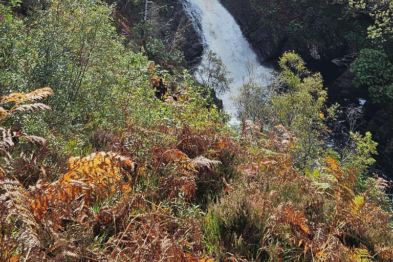 Glencoe: Hiking Tour With Local Guide