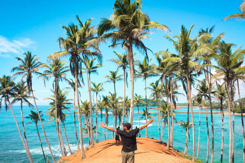 Sri Lanka: 8-Days Tour from the Airport with Private Guide 8 Days Tour with Flat Roof Van