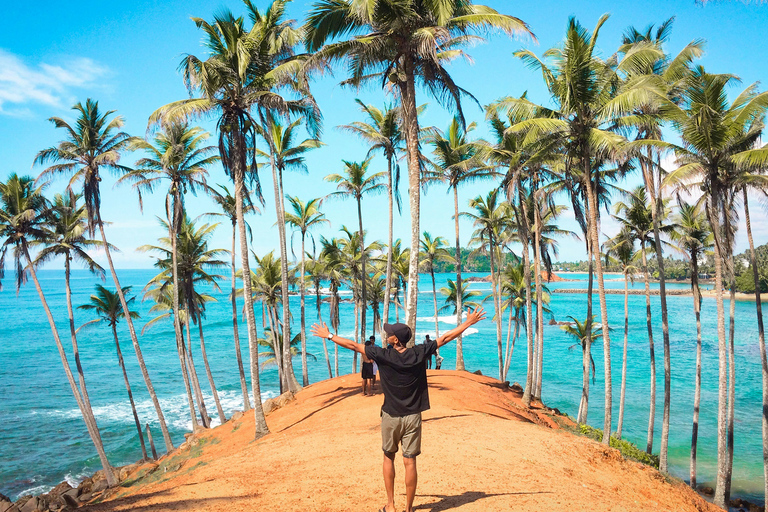 Sri Lanka: 8-Days Tour from the Airport with Private Guide 8 Days Tour with Flat Roof Van