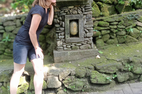 Alquiler de coches: La mejor excursión por las cascadas y terrazas de arroz de Ubud8 horas en coche Terrazas de arroz, cascadas, templo del agua