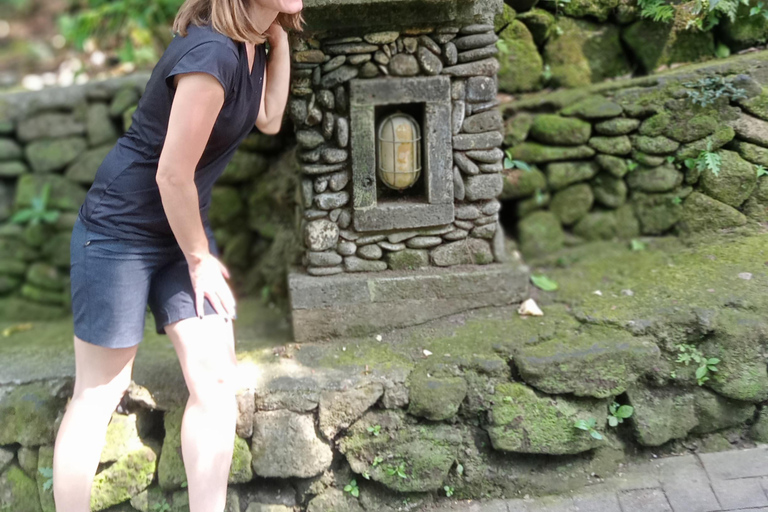 Ubud : Monkey forest, Temple and waterfall Private TourTour with Lunch