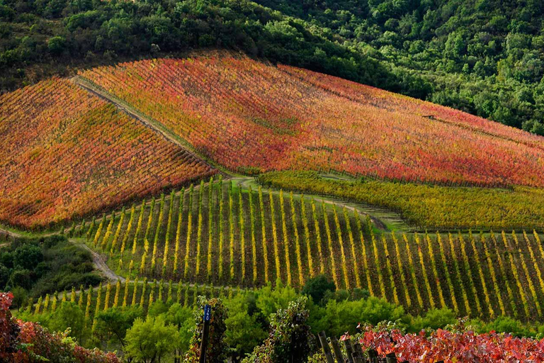 Valle de Colchagua: Tour del Vino de 2 Días con Hotel