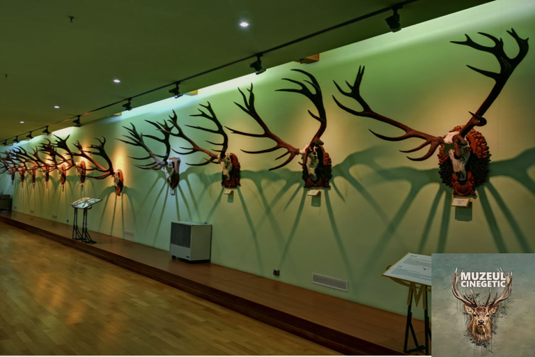From Bucharest: Hunting Museum Posada with Tickets Included
