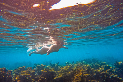 Cartagena: fuga caribenha personalizada com almoço e bebidasCartagena: Fuga pessoal ao Caribe com almoço e bebidas