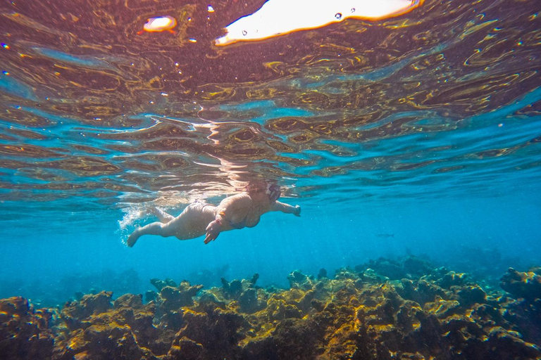 Cartagena: fuga caribenha personalizada com almoço e bebidasCartagena: Fuga pessoal ao Caribe com almoço e bebidas
