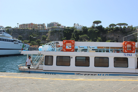 Capri: Blue Cruise with Guide from Sorrento, C.Stabia,Seiano From Seiano: Capri Blue Cruise