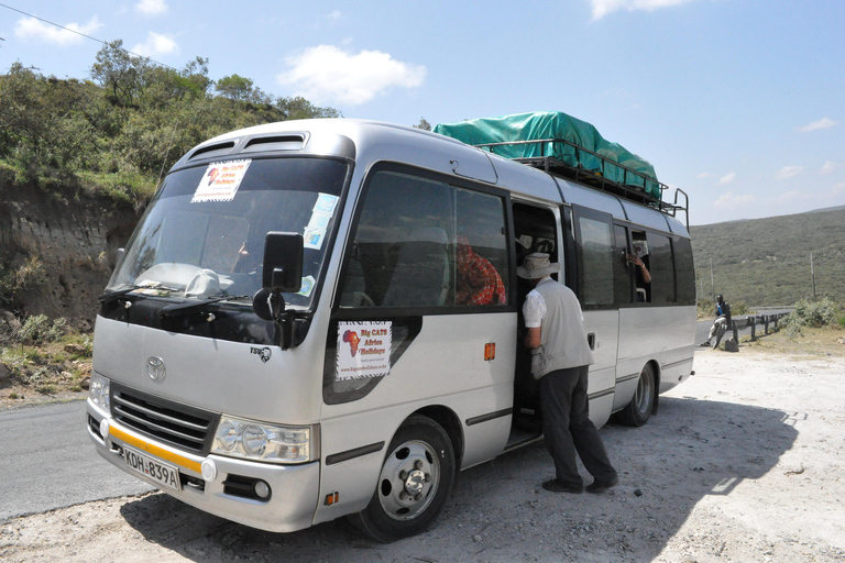 De Arusha: Visita a Tarangire, Serengeti e Lago Manyara